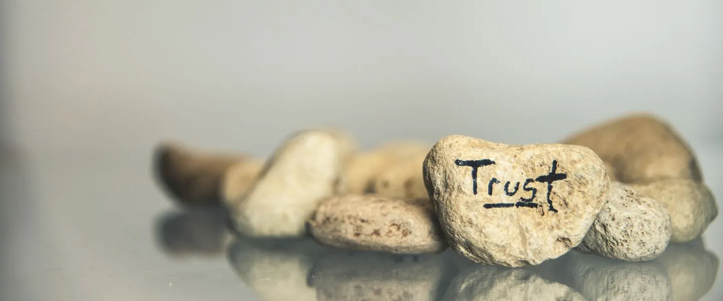 trust e fallimento