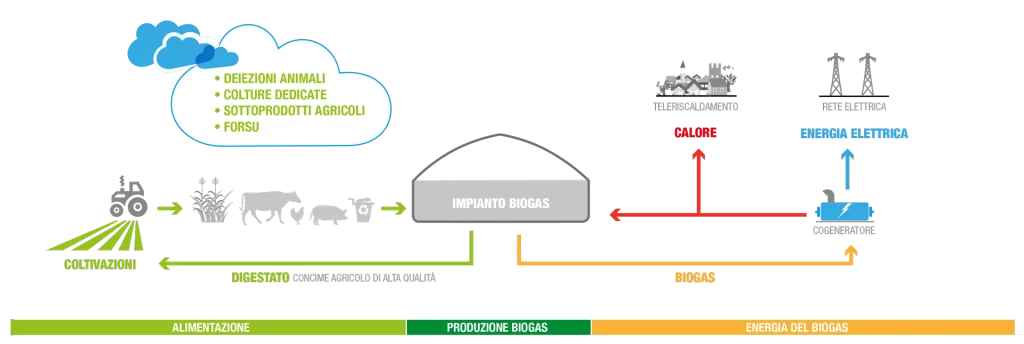 impresa agroenergetica