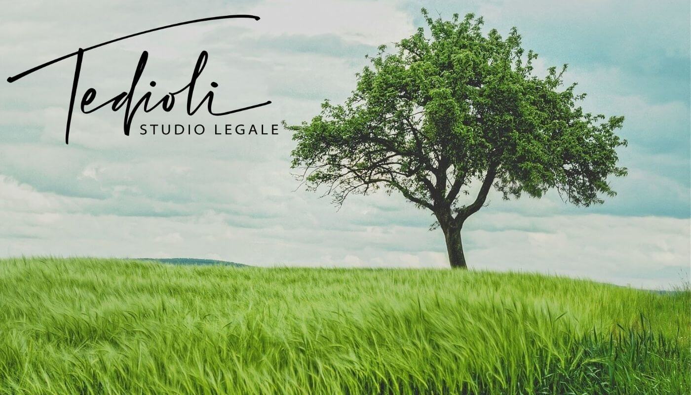 Il subaffitto di fondi rustici: quali rimedi vengono accordati al concedente? 1 avvocati di diritto agrario