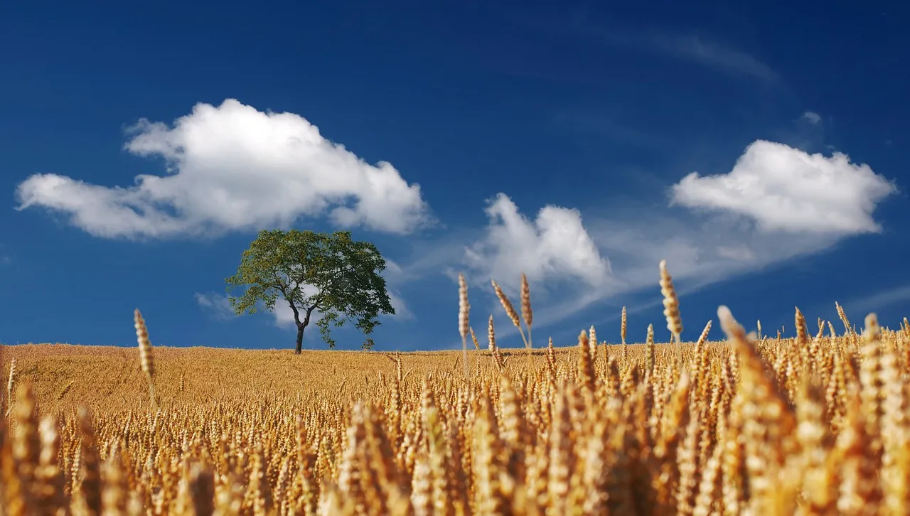 prelazione agraria